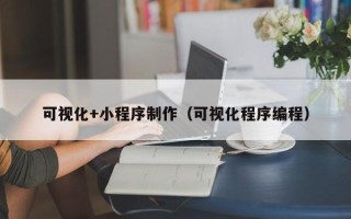 林州可视化+小程序制作（可视化程序编程）